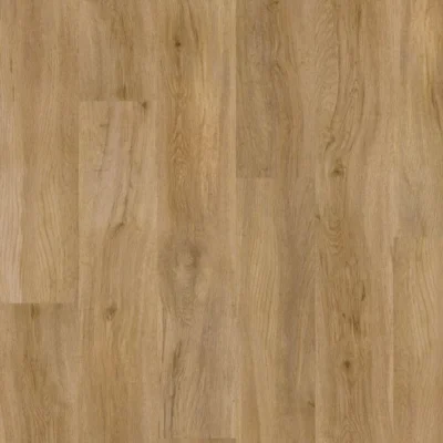 4159 Evergreen Oak