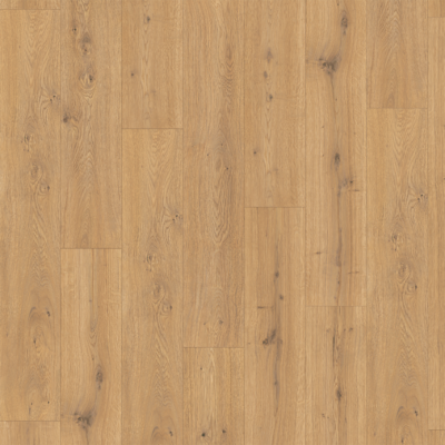 Stirling Oak