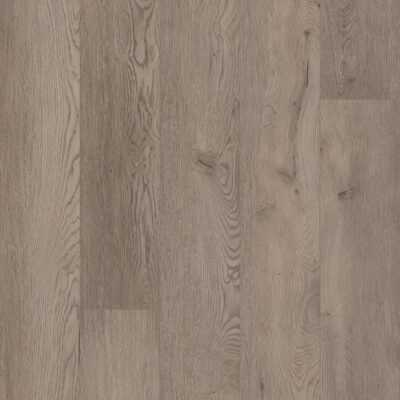 Belvoir 50-LVREXL-2594
